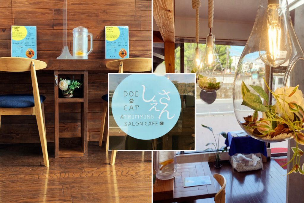 DOG&CAT CAFE しぇ・さん